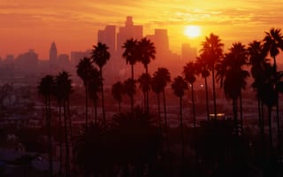 Картинка закат, Калифорния, пальмы, Город, Лос-Анжелес