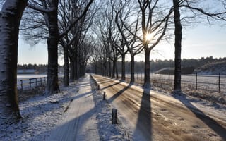 Обои дорога, пейзаж, зима