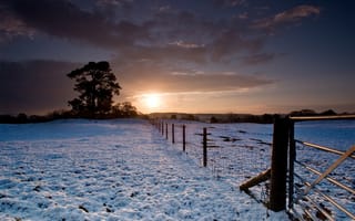 Картинка зима, деревья, забор, закат, снег
