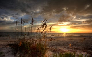 Картинка природа, море, облака, закат, трава, песок