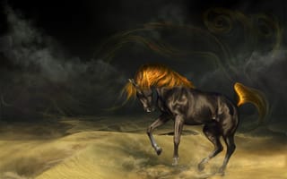 Картинка арт, конь, вороной, лошадь, буря, masterBo, песок, грива