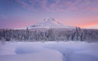 Картинка гора, рассвет, елки, снег
