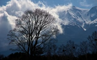 Картинка облака, дерево, деревья, снег, вершины, горы, силуэты