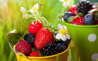 Картинка клубника, ежевика, ягоды, малина, ведёрки, черника, цветы, вишня, трава