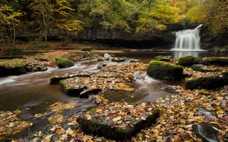 Картинка Cauldron Falls, England, деревья, лес, река, камни, осень, водопад, Англия, листья