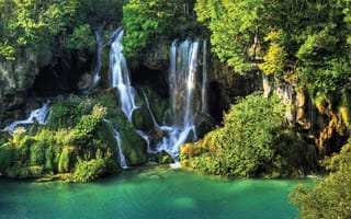 Картинка водопад, природа, скала, лес, деревья, дерево