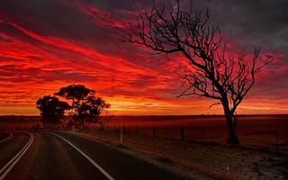 Картинка Australia, дорога, ночь, South Australia, Strathalbyn