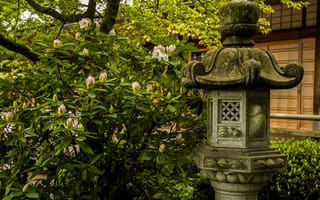 Картинка сад, листья, цветы, куст, каменный, япония, зелень, фонарь
