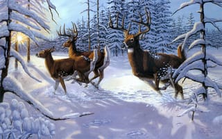 Картинка Gene Stewart, лучи, зима, олени, солнце, снег, животные, ель, лес, живопись, Winter Glory