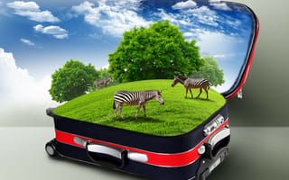 Обои чемодан, зебры, креатив, облака, трава, кусты