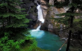 Картинка водопад, скала, озеро, ель