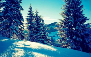 Картинка зима, зимние, время года, сезоны, сезонные, снег, лес, деревья, дерево, природа, ель, елка