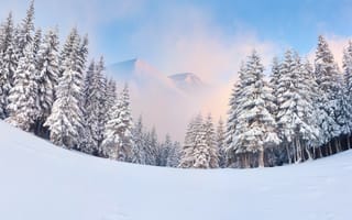 Картинка зима, снег, горы, ёлки, лес