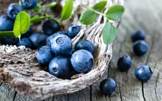 Картинка черника, wood, ягоды, berries, голубика, blueberry, fresh