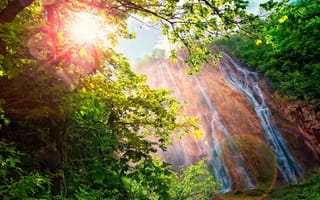 Картинка природа, скала, водопад, лес, деревья, дерево