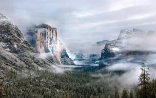 Картинка Йосемитский Национальный Парк, Йосемитский, национальный парк, США, Калифорния, горы, гора, природа, пейзаж, скала, лес, деревья, дерево, туман, дымка, атмосферный