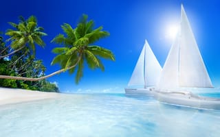 Обои тропики, beach, sea, palm trees, tropics, парусники, пальмы, sailboats, holiday, пляж, море, отдых