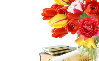 Картинка tulips, цветы, розы