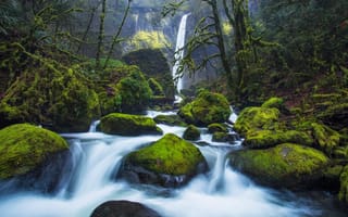 Картинка лес, река, скалы, мох, сша, водопад, камни, заросли, деревья, Oregon