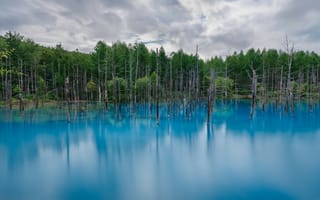 Картинка озера, озеро, природа, вода, пейзаж, лес, деревья, дерево, голубой, бирюзовый