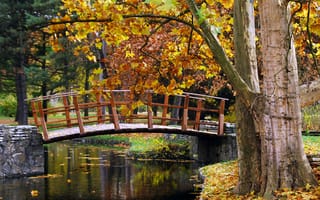 Обои Park, nature, парк, autumn, мостик, trees, осень, природа, деревья, bridge Creek, ручей