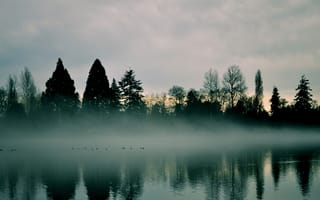 Картинка озера, озеро, природа, вода, пейзаж, лес, деревья, дерево, отражение, туман, дымка