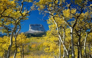 Картинка монтана, осень, гора