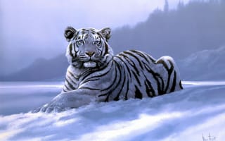 Картинка тигр, бенгальский тигр, полосатый, дикие кошки, дикий, кошки, большие кошки, большая кошка, хищник, животные, белый, зима