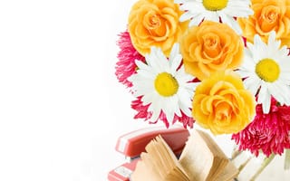 Картинка petals, розы, цветы, book