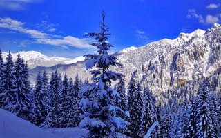 Картинка горы, зима, пейзаж, природа