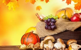 Картинка осень, виноград, грибы, овощи, фрукты, яблоки, листья, урожай, тыквы