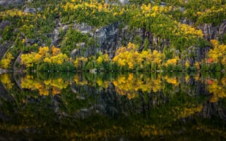 Картинка лес, озеро, отражение, река, осень, природа, деревья