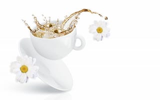 Обои брызги, чай, чашка, цветы
