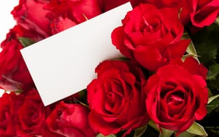 Картинка розы, Цветы, открытка