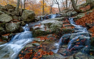 Картинка водопад, природа, осень, осенние, время года, сезоны, сезонные, лес, деревья, дерево, лист, листья, листва