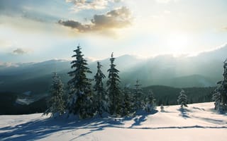 Обои пейзажи, горы, зимние, холод, утро, солнце, дерево, снег, зима, деревья, мороз, природа