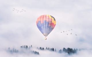 Картинка воздушный шар, шар, природа, лес, деревья, дерево, туман, дымка, птица, птицы, стая