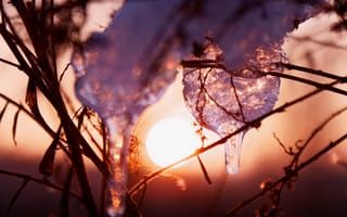 Картинка закат, зима, трава, лед, искры, солнце