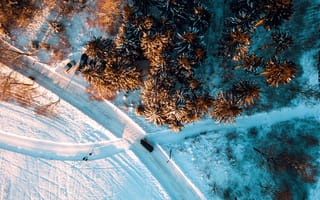 Картинка зима, зимние, время года, сезоны, сезонные, снег, лес, деревья, дерево, природа, сверху, c воздуха, аэросъемка, съемка с дрона
