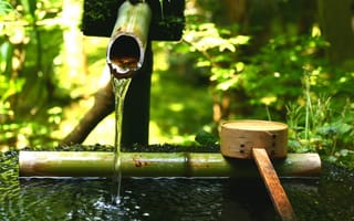 Картинка японский сад, зелень, ковш, тсукубаи, камень, бамбуковый, вода