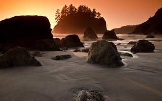 Картинка northern california, камни, seascape, california, остров, Beach, утро, пляж, скалы, деревья, национальный парк, Trinidad State