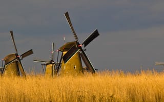 Картинка мельница, ветряк, поле, природа