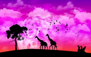 Картинка природа, африка, жираф