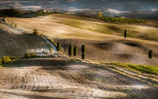 Картинка Тоскана, Италия, природа, дом, тополь, дорога, поле