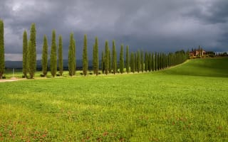 Картинка Тоскана, Италия, природа, луг, поле, пейзаж, дом, тополь, дорога, облачно, облачный, облака