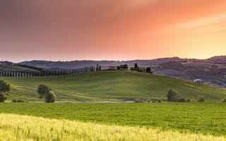 Картинка Тоскана, Италия, природа, холм, луг, поле, вечер, закат, заход