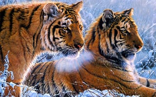 Картинка тигр, бенгальский тигр, полосатый, дикие кошки, дикий, кошки, большие кошки, большая кошка, хищник, животные, зима, арт, рисунок