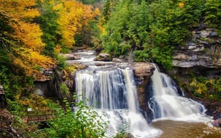 Картинка водопад, природа, осень, осенние, время года, сезоны, сезонные, лес, деревья, дерево