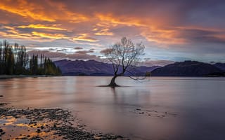 Картинка Ванака, Новая Зеландия, озеро, дерево, озера, природа, вода, пейзаж, облака, туча, облако, тучи, небо, вечер, закат, заход