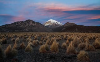 Картинка Боливия, вечер, снег, горы, небо, кусты